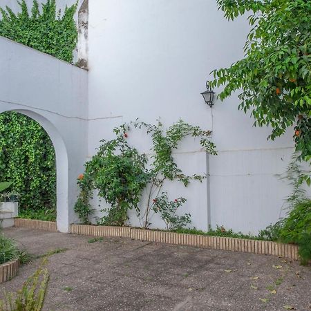 O&L Aire - Spacious And Bright Apartment In The Heart Of Siviglia Esterno foto